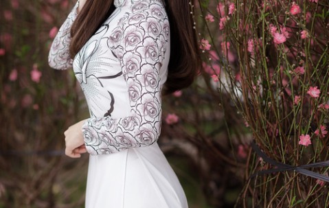 探索第一代试管婴儿技术的费用，一个全面分析